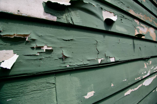 Best Electronics and E-Waste Disposal  in Woods Hole, MA