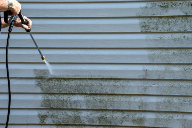 Best Basement Cleanout  in Woods Hole, MA