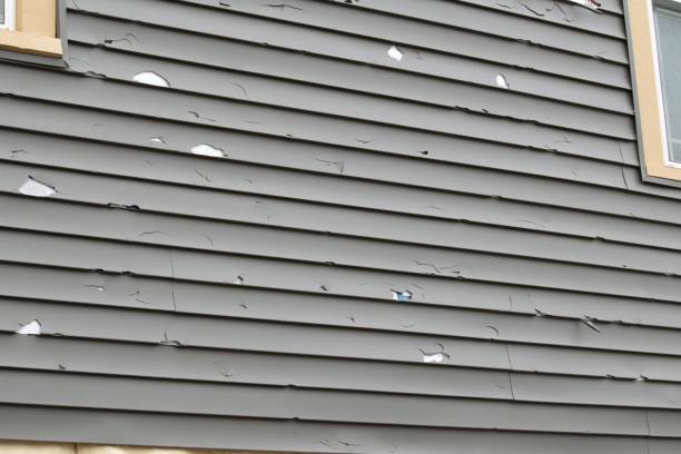 Best Dumpster Rental Services  in Woods Hole, MA