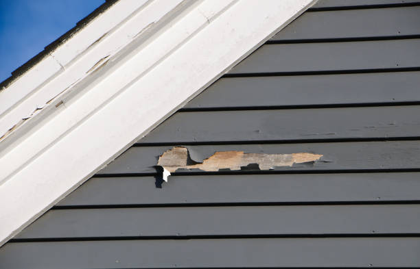 Best Moving and Downsizing Cleanouts  in Woods Hole, MA